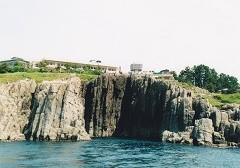�V���D����